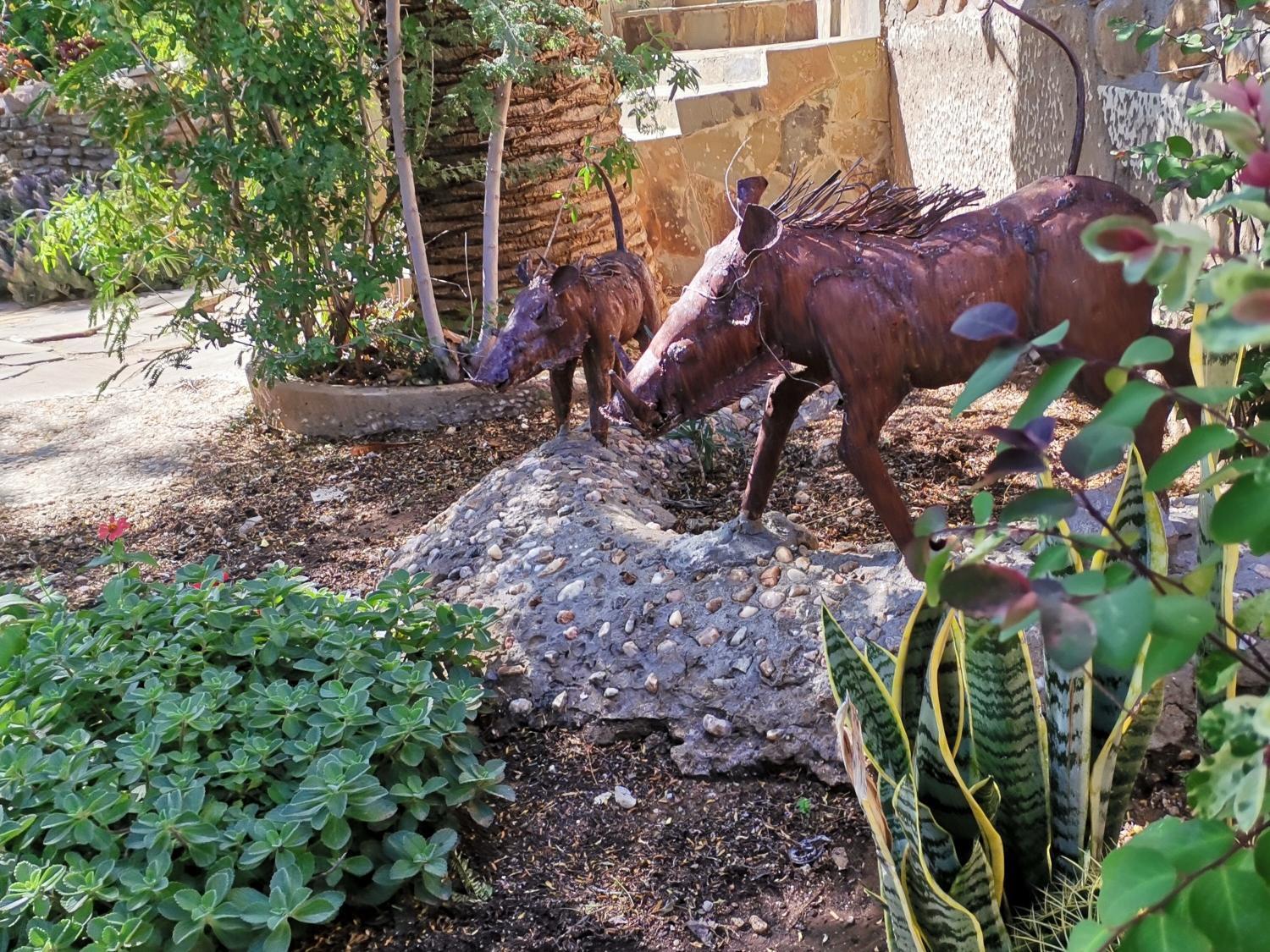 Guesthouse Terra Africa Windhoek Kültér fotó