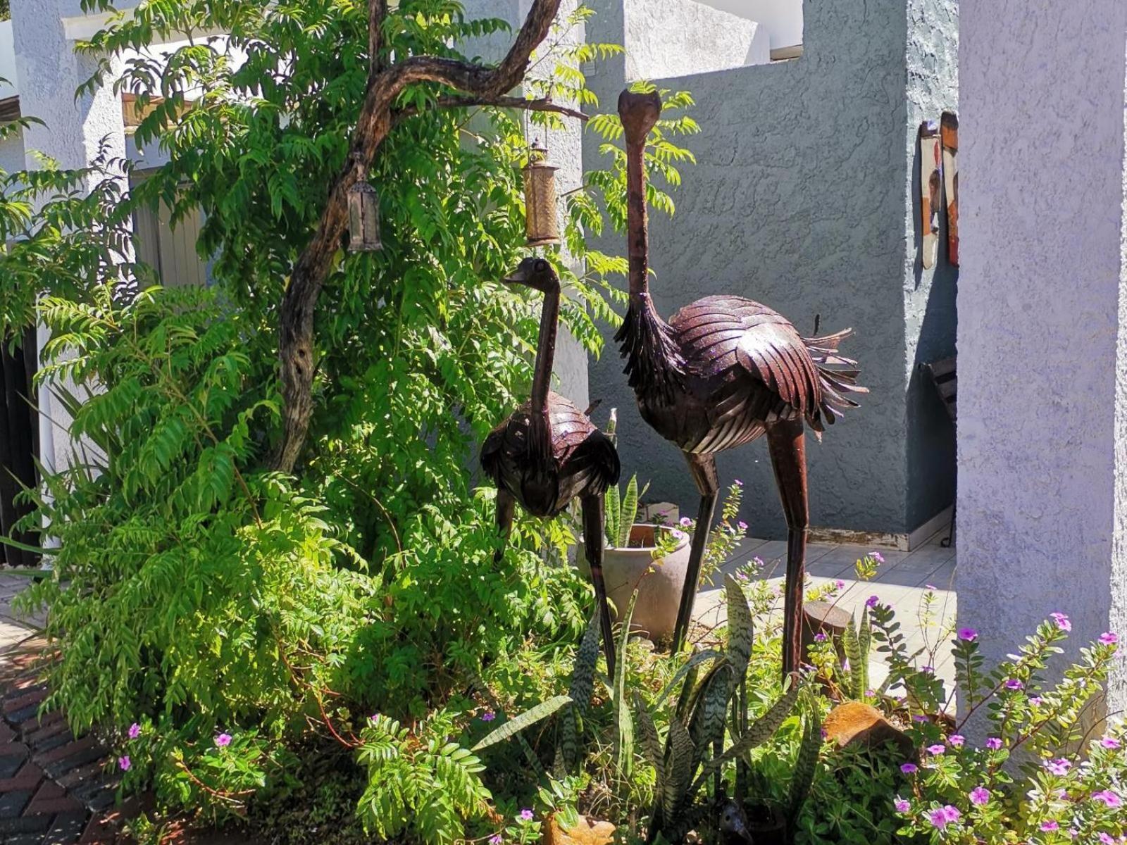 Guesthouse Terra Africa Windhoek Kültér fotó